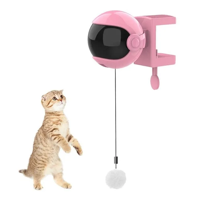 Automatic Pet Toy