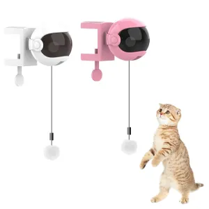 Automatic Pet Toy