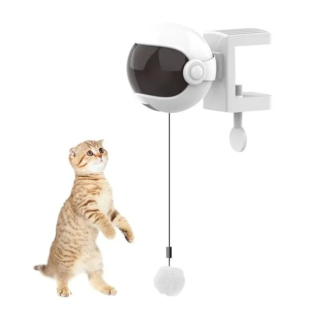 Automatic Pet Toy