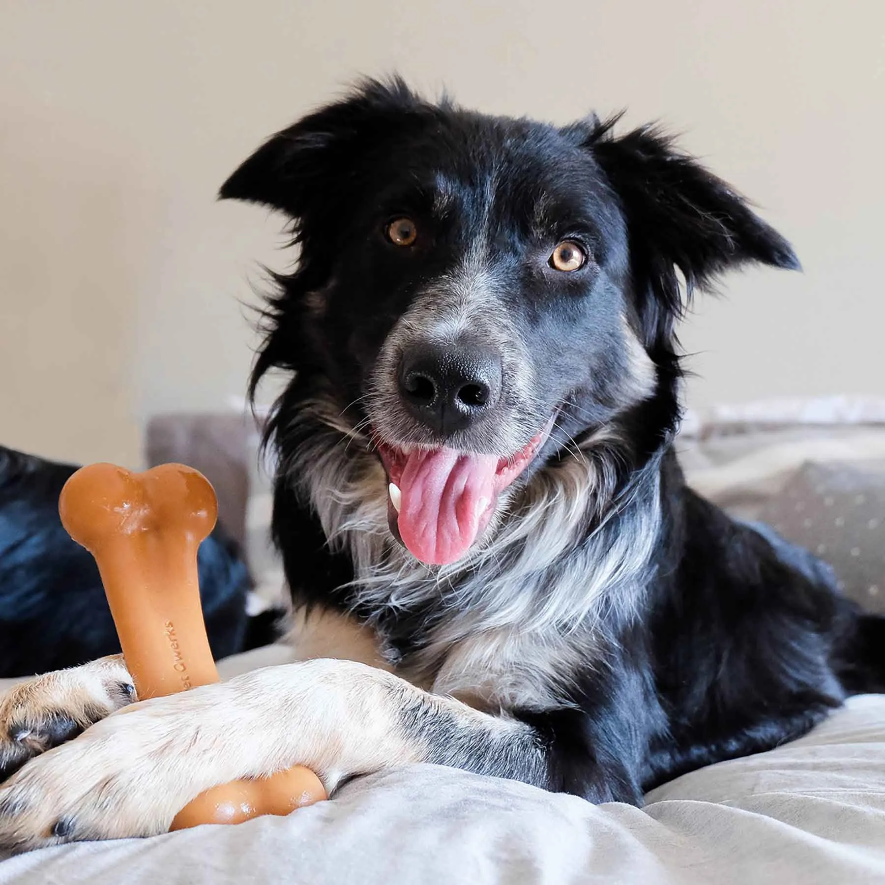 BarkBone Natural Instincts BBQ-Infused Nylon Dog Chew