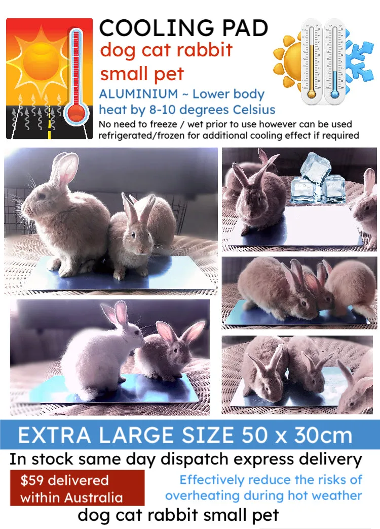 Bunny Rabbit Small Pet Cooling Pad Plate Mat Tile Sheet Summer Aluminium Body Heat-lowering Cool Pad