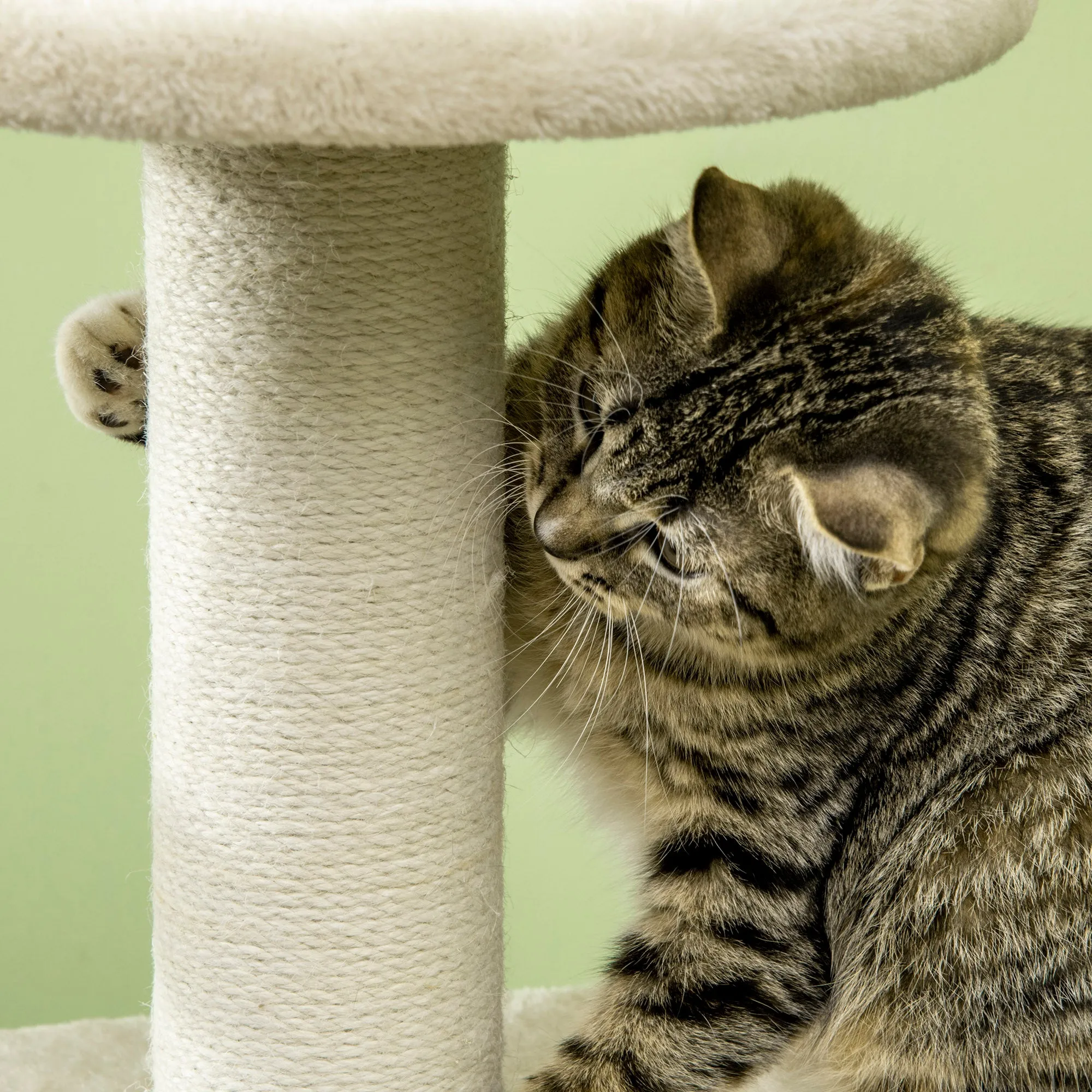 Cat Tree Climbing Kitten Tower Activity Centre for Indoor Cats w/ Jute Scratching Post, Cat House, Kitten Stand, Hanging Toy Ball - Beige