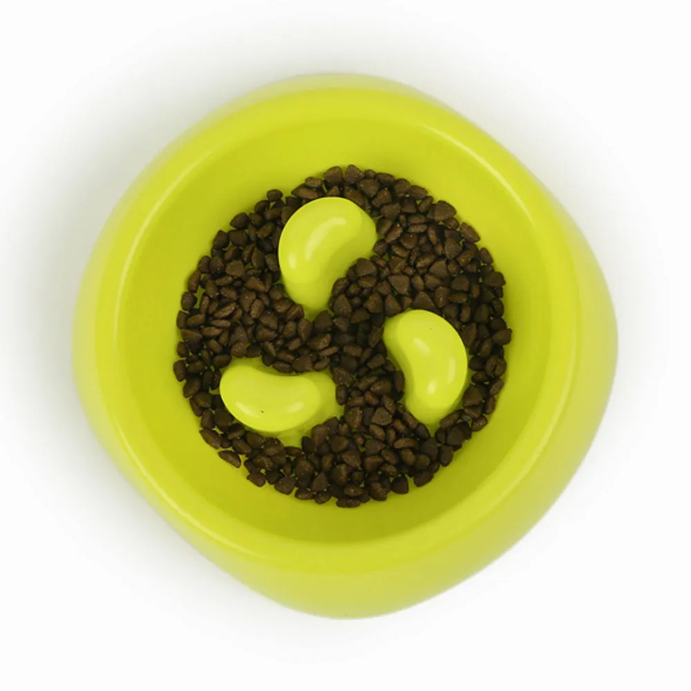 Dear Pet Slow Feeder Bowl for Dogs