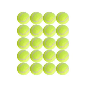 Dog Tennis Balls 20 Pack Pet Tennis Ball for Small Dogs Premium Fetch Toy Non-Toxic Non-Abrasive Material