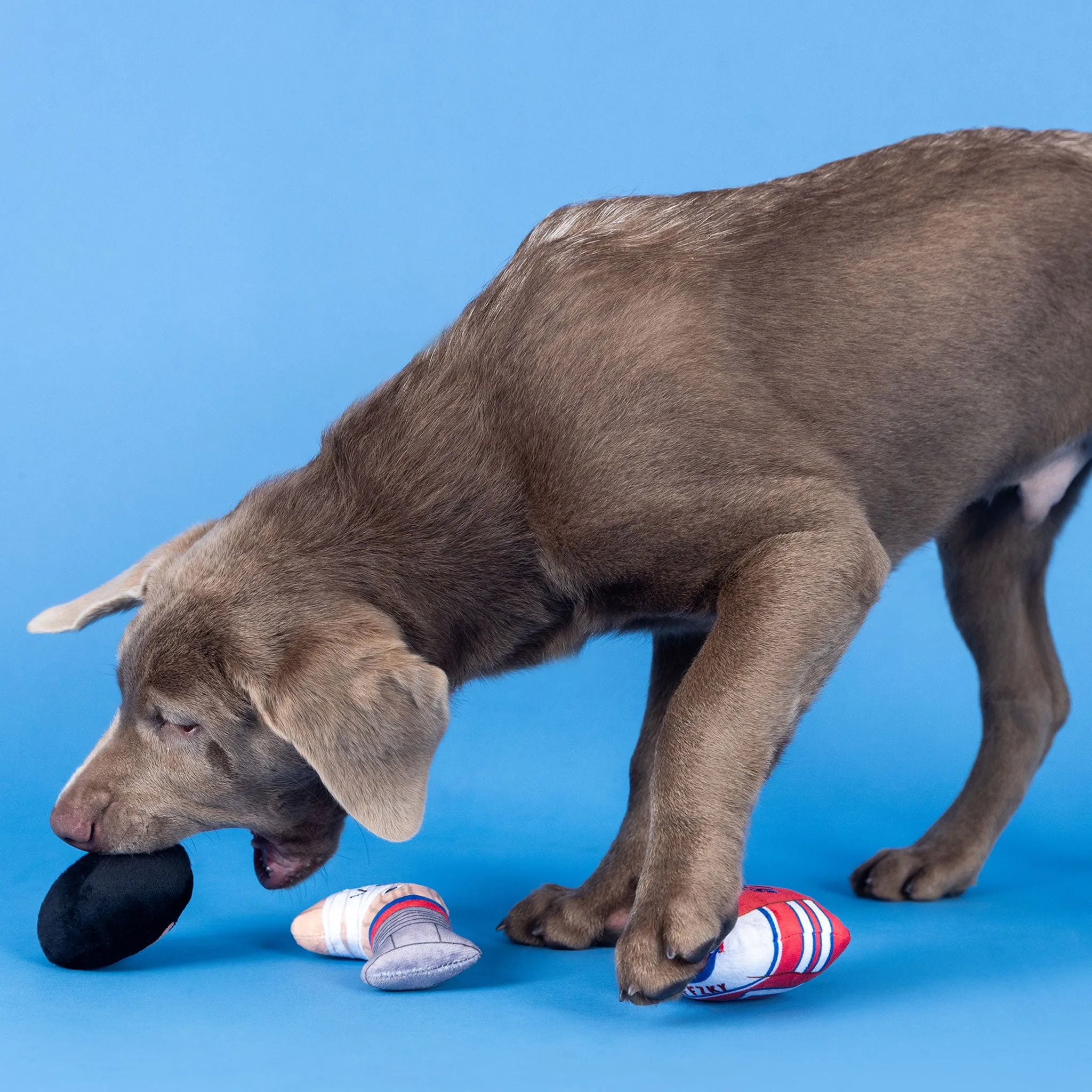 Fringe Go for the Goal Hockey Dog Toys