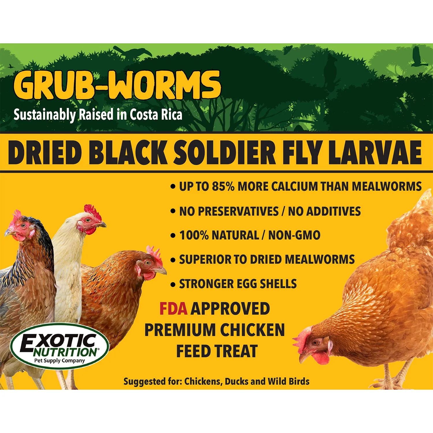 Grub-Worms Black Soldier Fly Larvae