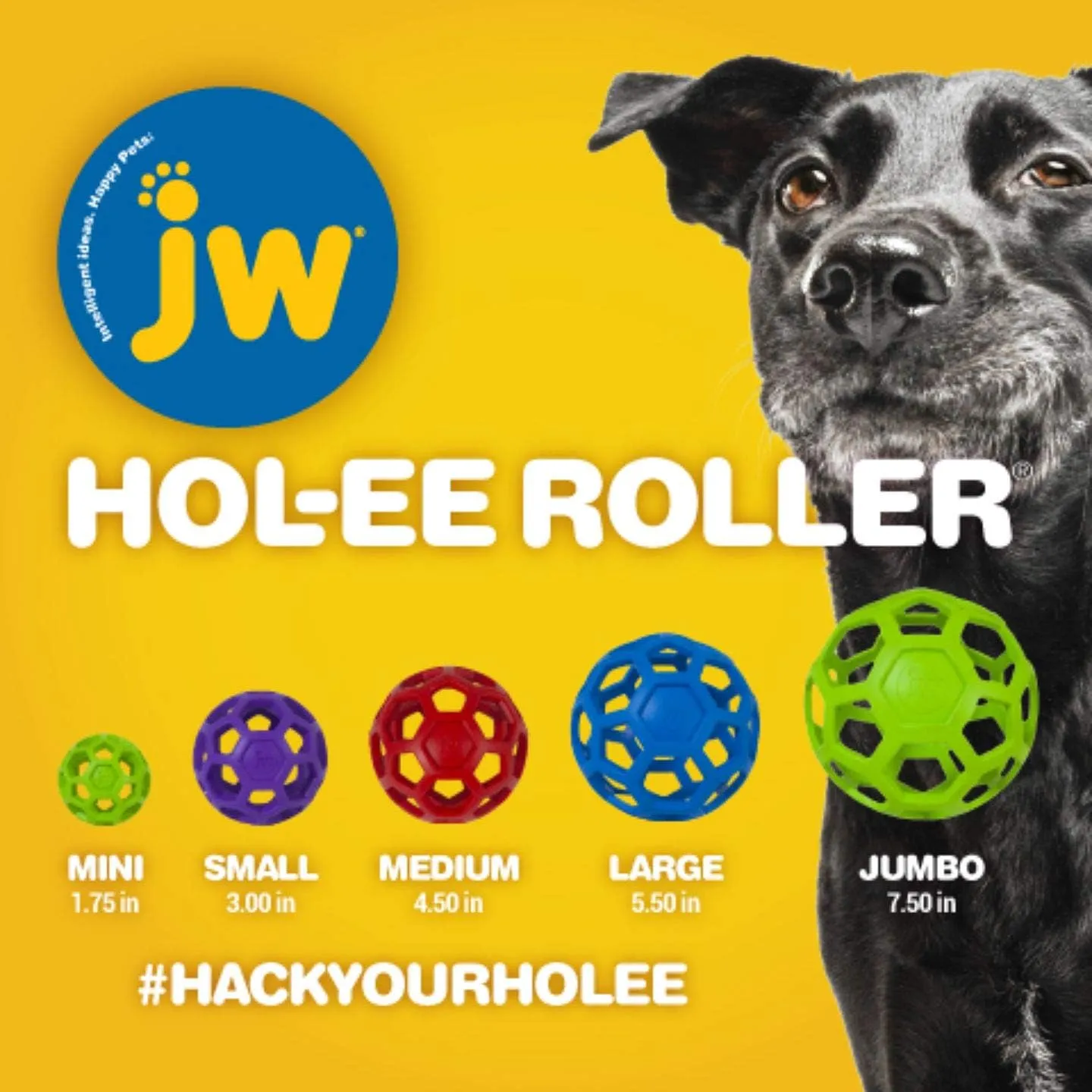 JW Pet Hol-ee Roller Treat Dispenser   Dog Toy - Small