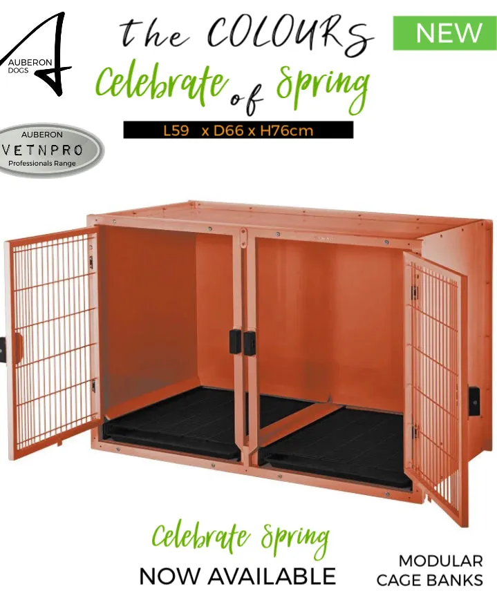 NEW product LAUNCH ! Modular Multilevel Cages Banks ‘Celebrate the Colours of Spring’ Most colours available - check them out!