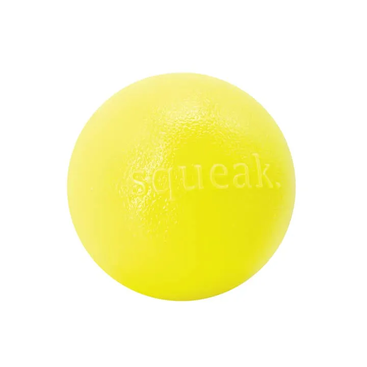 Planet Dog Orbee-Tuff Squeak Ball Dog Toy