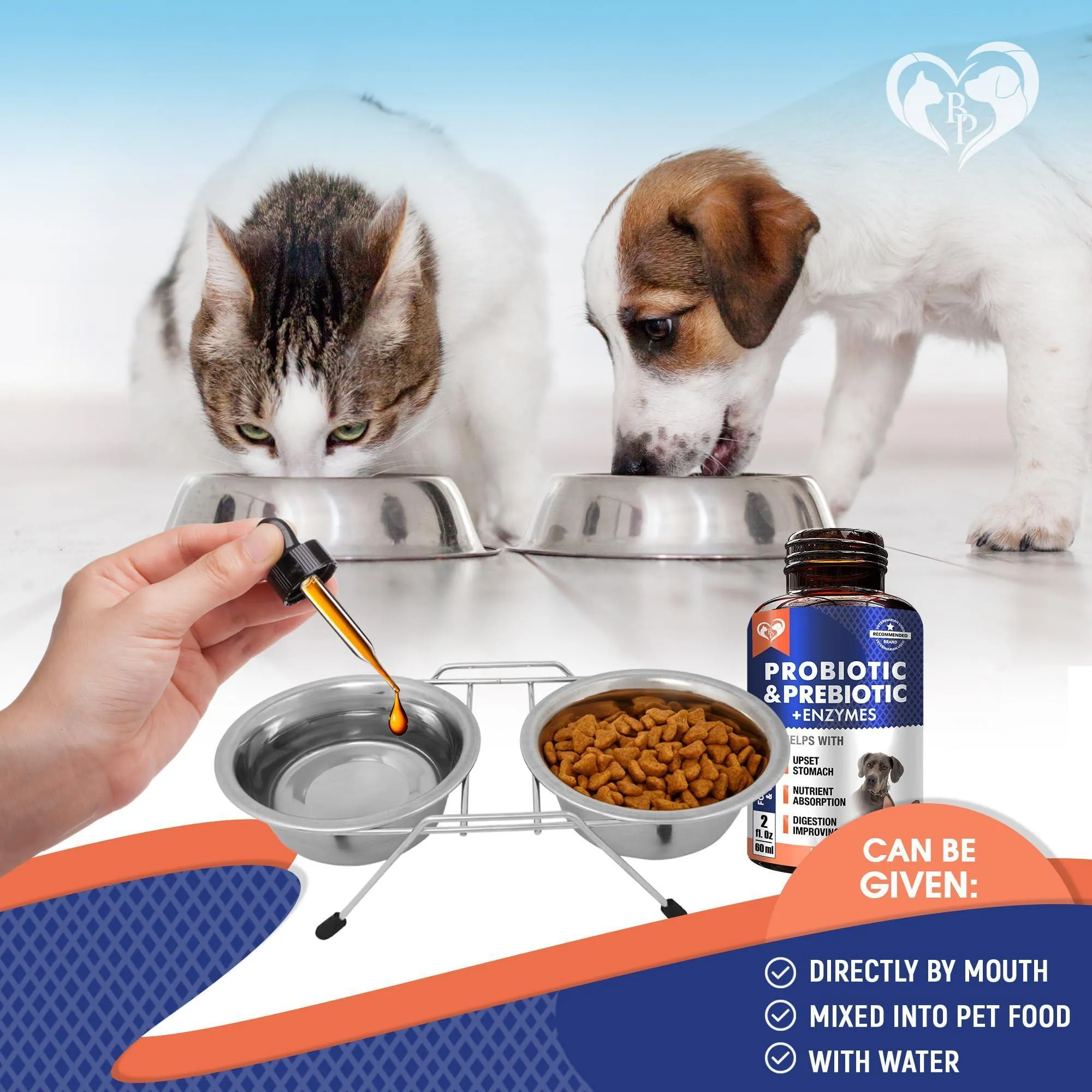 Probiotics Prebiotics with Enzymes for Dogs and Cats Digestive Gut Flora Health