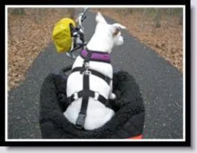 Snoozer Dog Rider Bicycle Seat Lookout