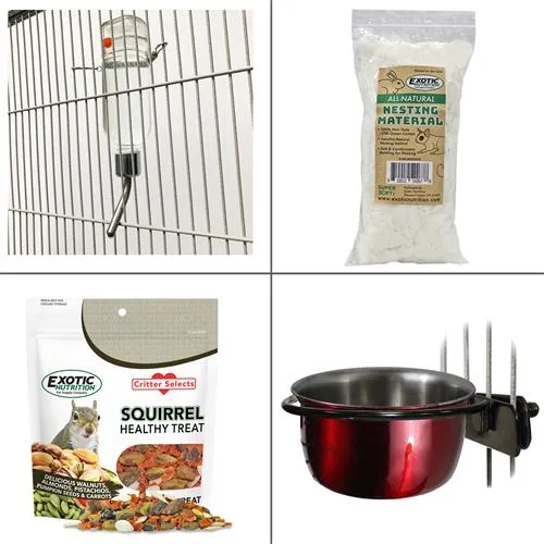 Starter Pack for Squirrels