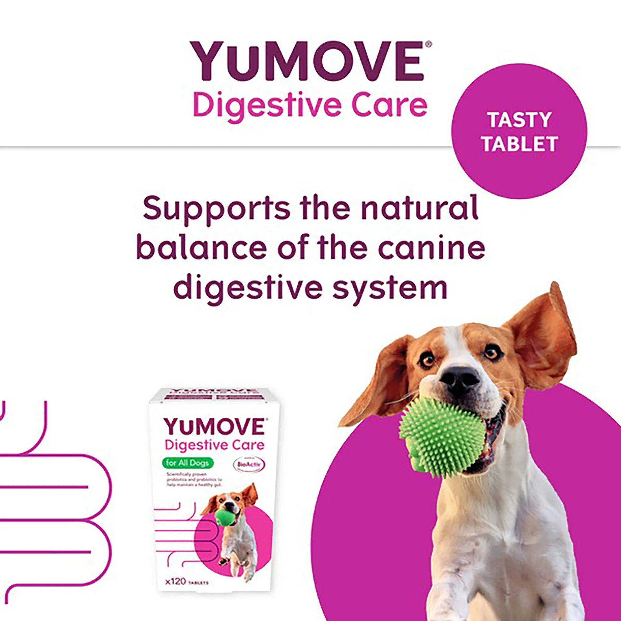 YuMOVE Digestive Care for All Dogs 300 pack